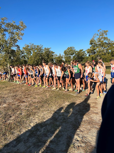 Bengal Cross Country Wins