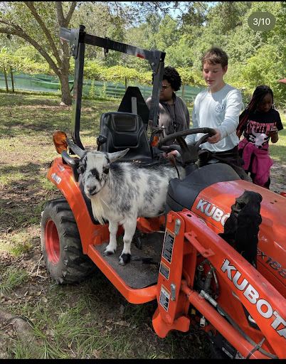 Vet Science Field Trip